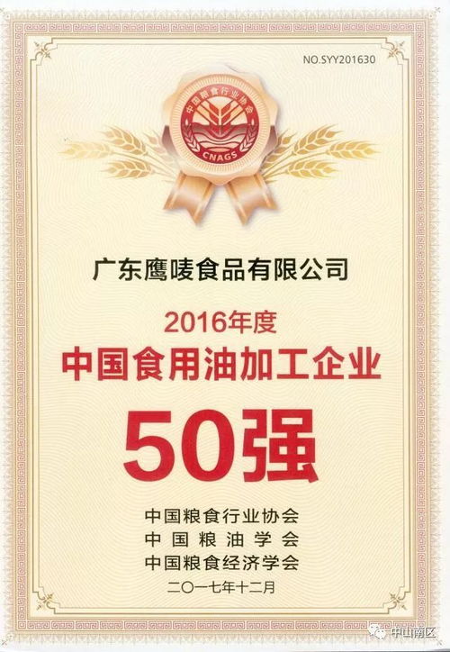 南区企业突围记 从京东爆款到央视舞台的品牌进阶之路