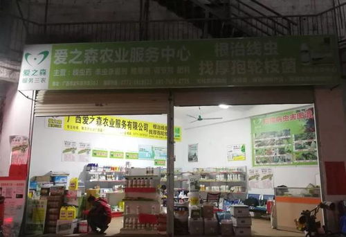 柑橘根结线虫的综合防治方案