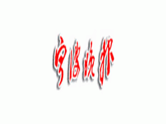 宁波晚报广告业务全攻略 电话、代理与公司选择指南