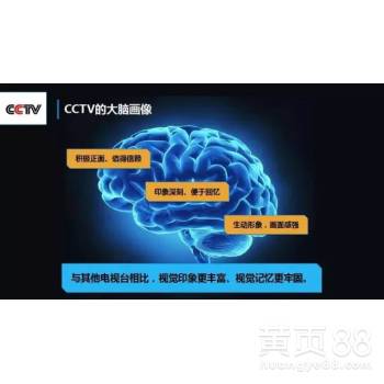 广州广告代理 连接品牌与市场的专业桥梁