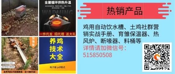 2019年5月31日全国肉毛鸡市场价格分析与行情参考